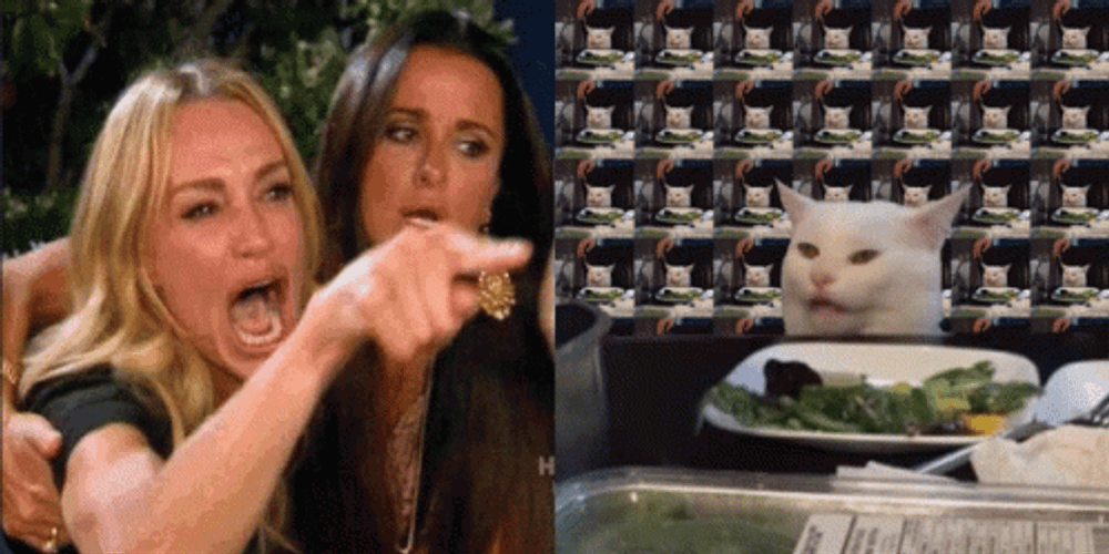 Stubborn Tease El Gato Meme GIF