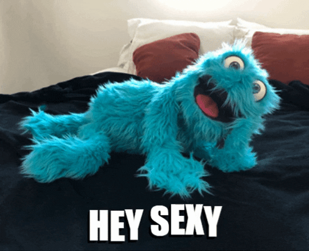 Stud Fluffy Friend Hey Sexy GIF
