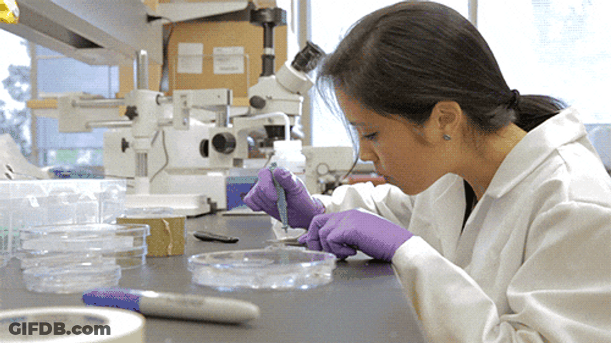 Student Experimenting Medicine GIF