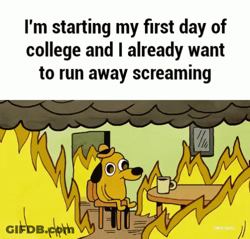 Students Sitting In Classroom With Teacher GIF