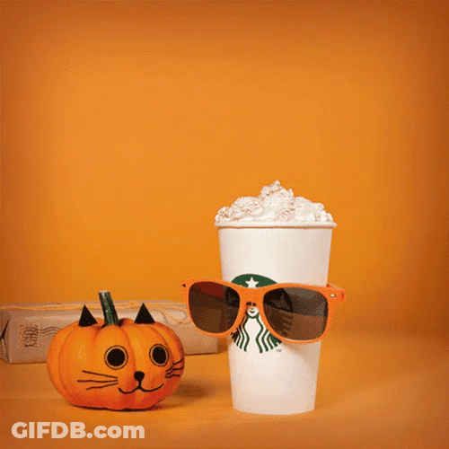 Study With Pumpkin Spice Latte GIF
