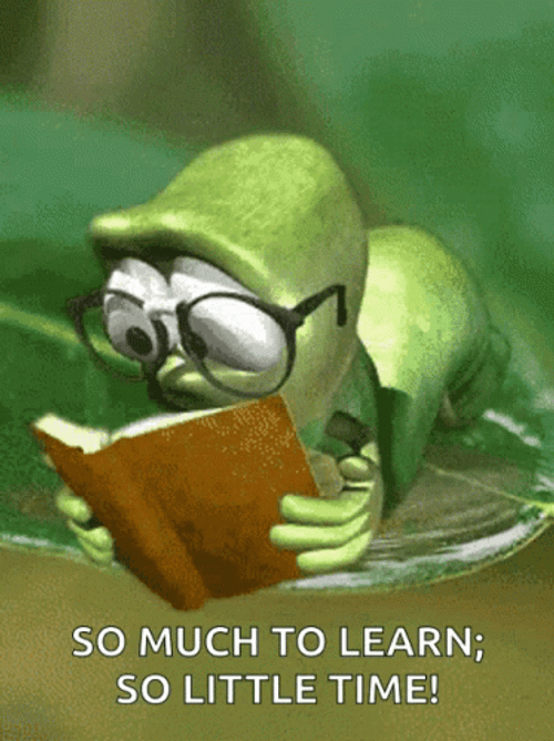 Studying Cramming For Exams GIF