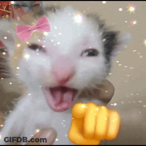 Stuffed Animal At Poker Table With Royal GIF