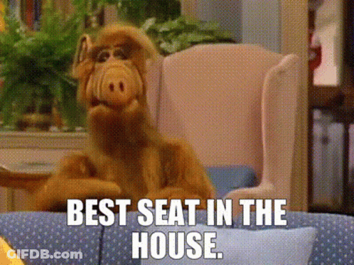 Stuffed Animal Best Seat In The House GIF
