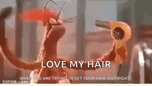Stuffed Animal Blow Drying Hair Love My Hair GIF