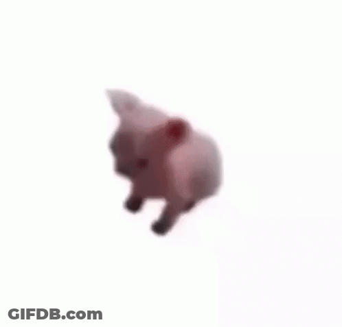 Stuffed Animal Dancing On Its Back GIF