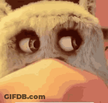 Stuffed Animal Eyes Close Up GIF