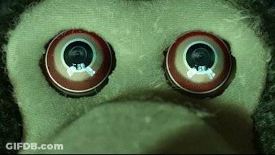 Stuffed Animal Eyes Like Camera GIF