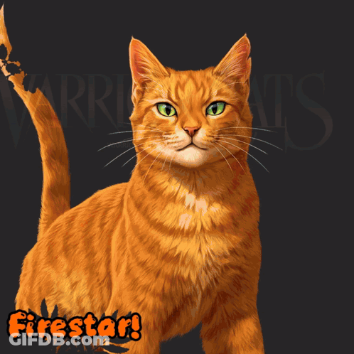Stuffed Animal Firestar GIF