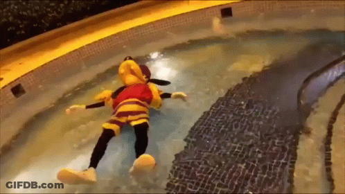 Stuffed Animal Floating In Pool GIF