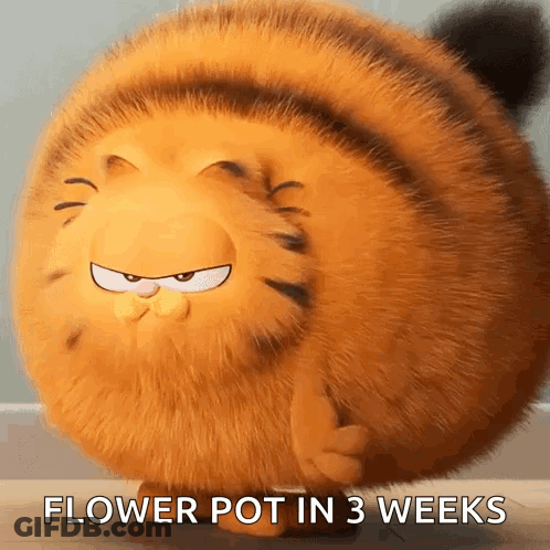 Stuffed Animal Flower Pot In 3 Weeks GIF