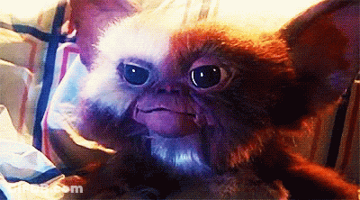 Stuffed Animal Gizmo Close Up GIF