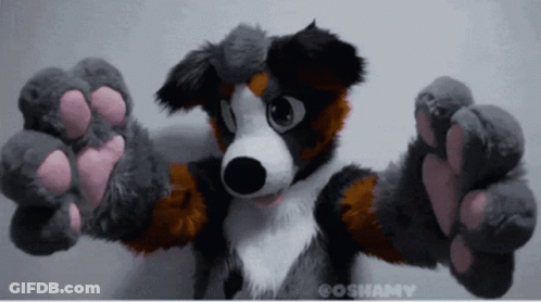 Stuffed Animal Goshamy GIF