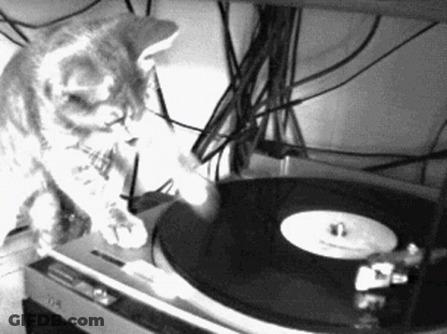 Stuffed Animal Headphones DJ Controller GIF