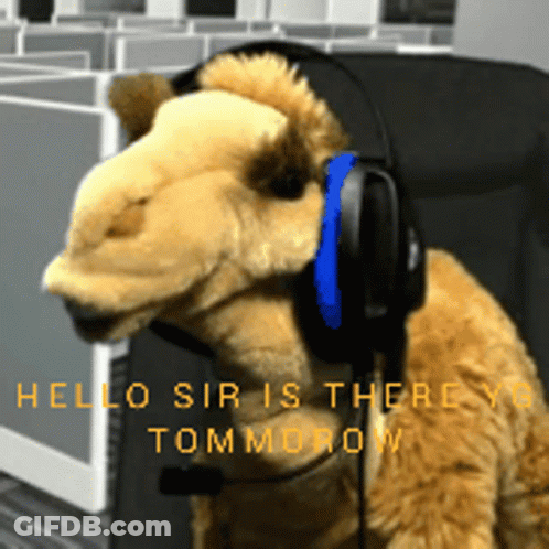 Stuffed Animal Headphones Hello Sir Is There Tomorrow GIF