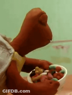 Stuffed Animal Holding Bowl Of Food GIF