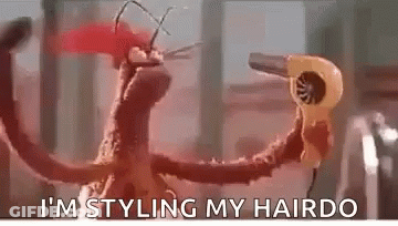 Stuffed Animal Holding Hair Dryer GIF