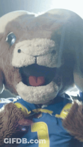 Stuffed Animal In Blue Shirt With Number 1 GIF
