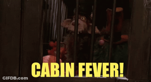 Stuffed Animal In Cage With Cabin Fever GIF