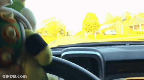 Stuffed Animal In Driver Seat Of Vehicle GIF