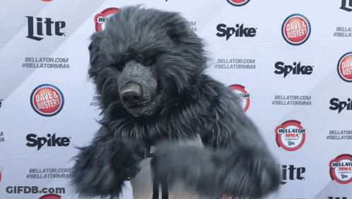 Stuffed Animal In Front Of Lite And Spike Wall GIF
