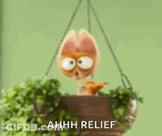 Stuffed Animal In Hanging Plant GIF