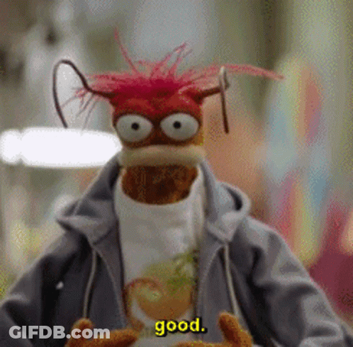Stuffed Animal In Hoodie Saying Good GIF