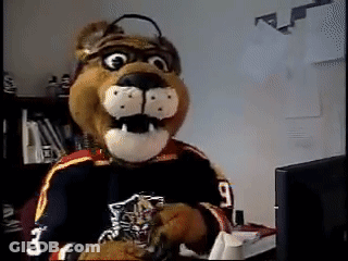 Stuffed Animal In Jersey Number 9 GIF