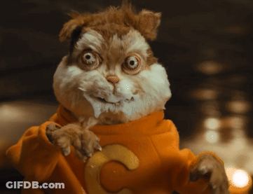 Stuffed Animal In Orange Sweater With Letter C GIF