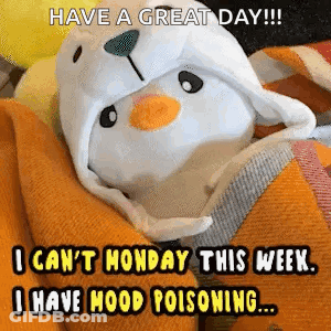 Stuffed Animal In Penguin Hat Wrapped In Orange Blanket GIF