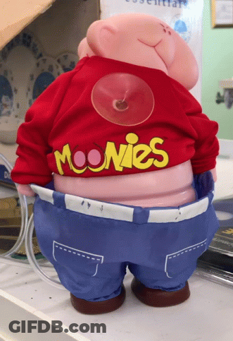 Stuffed Animal In Red Moonies Shirt GIF