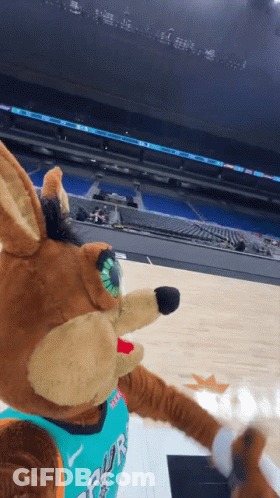 Stuffed Animal In Spurs Jersey On Basketball Court GIF