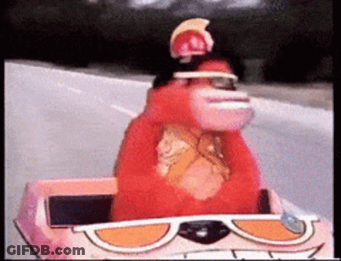Stuffed Animal In Sunglasses And Hat Driving Pink Toy Car GIF