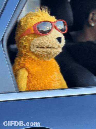 Stuffed Animal In Sunglasses Sitting In Car GIF