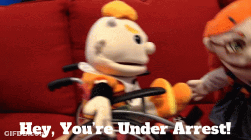 Stuffed Animal In Wheelchair Held By Another With Hey Youre Under Arrest GIF