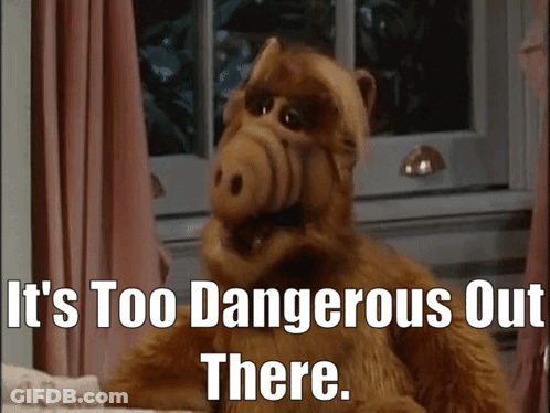 Stuffed Animal It's Too Dangerous Out There GIF