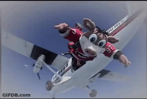 Stuffed Animal Jumping Out Of Plane Number 76 GIF