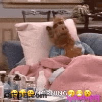 Stuffed Animal Laying In Bed With Napkin And Blanket GIF