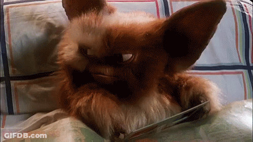 Stuffed Animal Laying On Bed With Book GIF