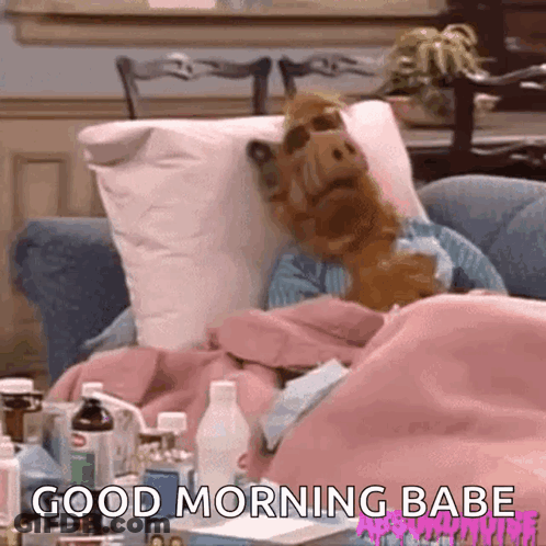 Stuffed Animal Laying On Couch With Blanket And Pillow GIF
