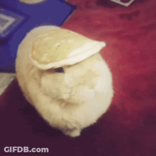 Stuffed Animal Laying On Red Blanket GIF