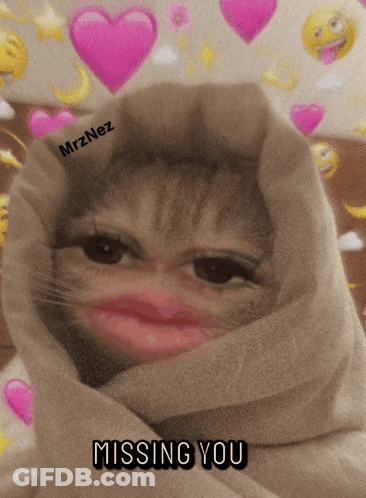 Stuffed Animal Listen Up Storm Coming GIF