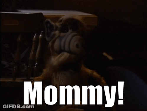 Stuffed Animal Mommy GIF