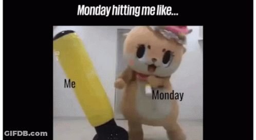 Stuffed Animal Monday Hitting Me Like ... Me Monday GIF