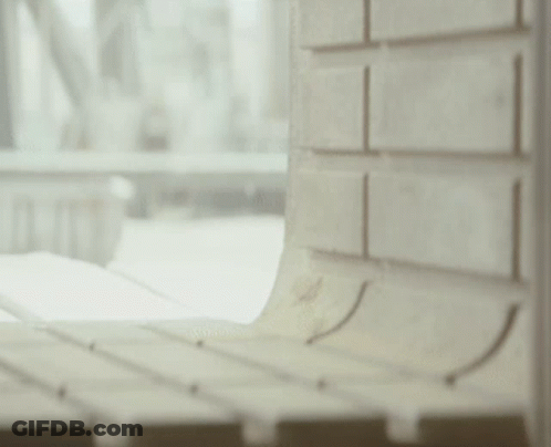Stuffed Animal Next To Brick Wall Looking Out Window GIF