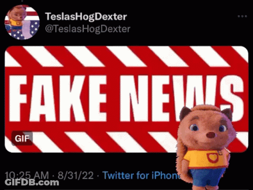 Stuffed Animal Next To Fake News Sign GIF