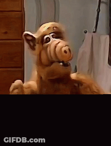 Stuffed Animal Next To Puzzle GIF