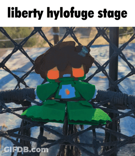 Stuffed Animal On Hammock Liberty Hylofuge Stage GIF