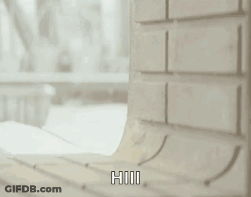 Stuffed Animal Peeking Behind Wall GIF