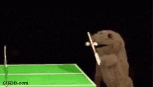Stuffed Animal Playing Tennis With Bat GIF